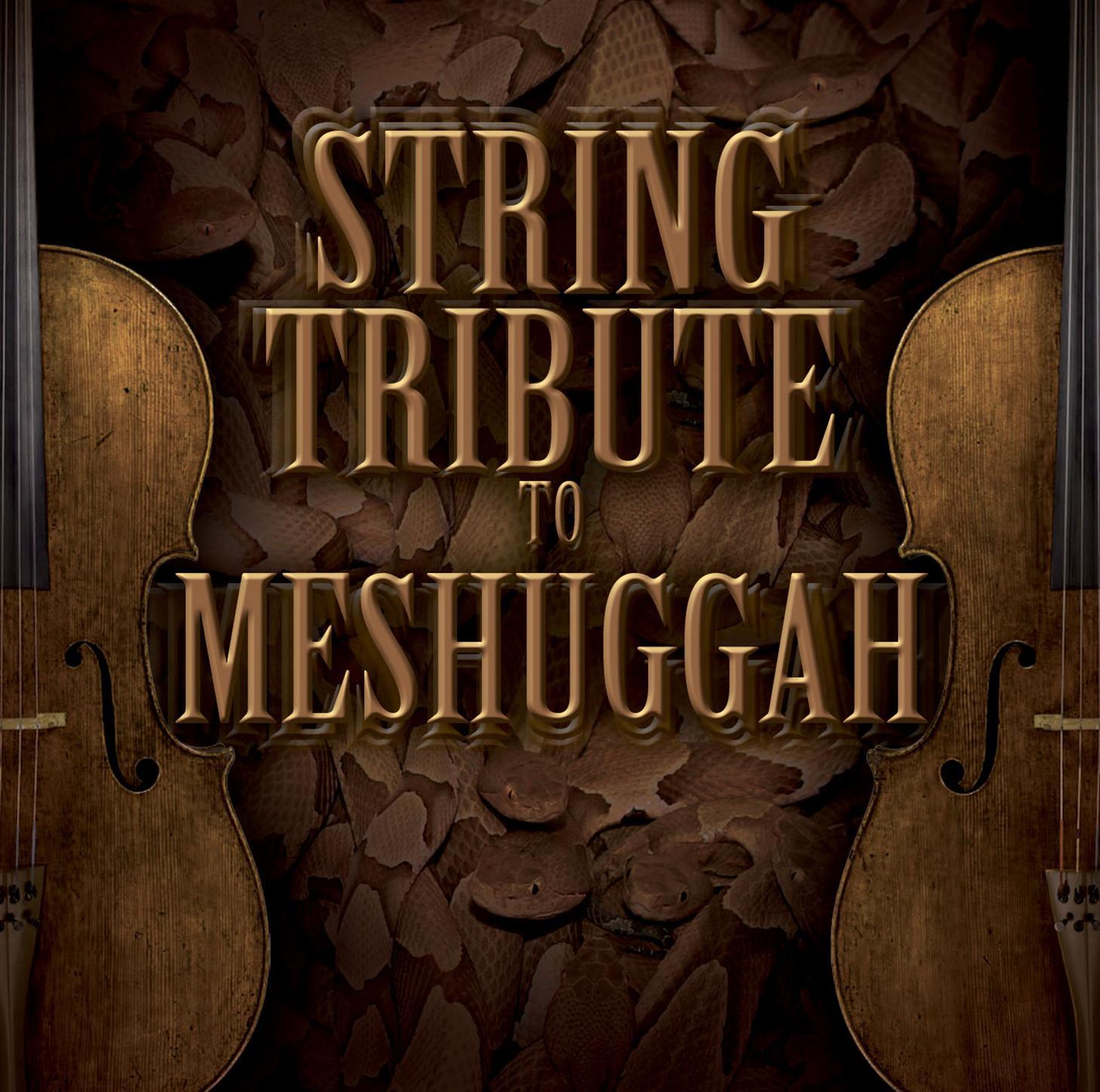 String Tribute to Meshuggah