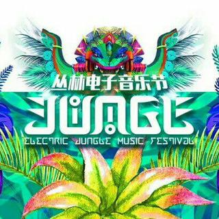 2017丛林音乐节12月10号阵容各作品