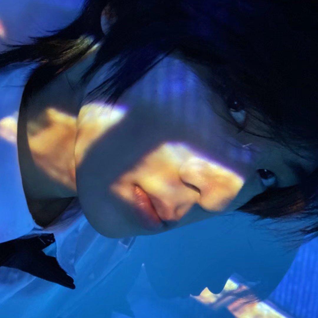 切里渔siren的歌单 句子林