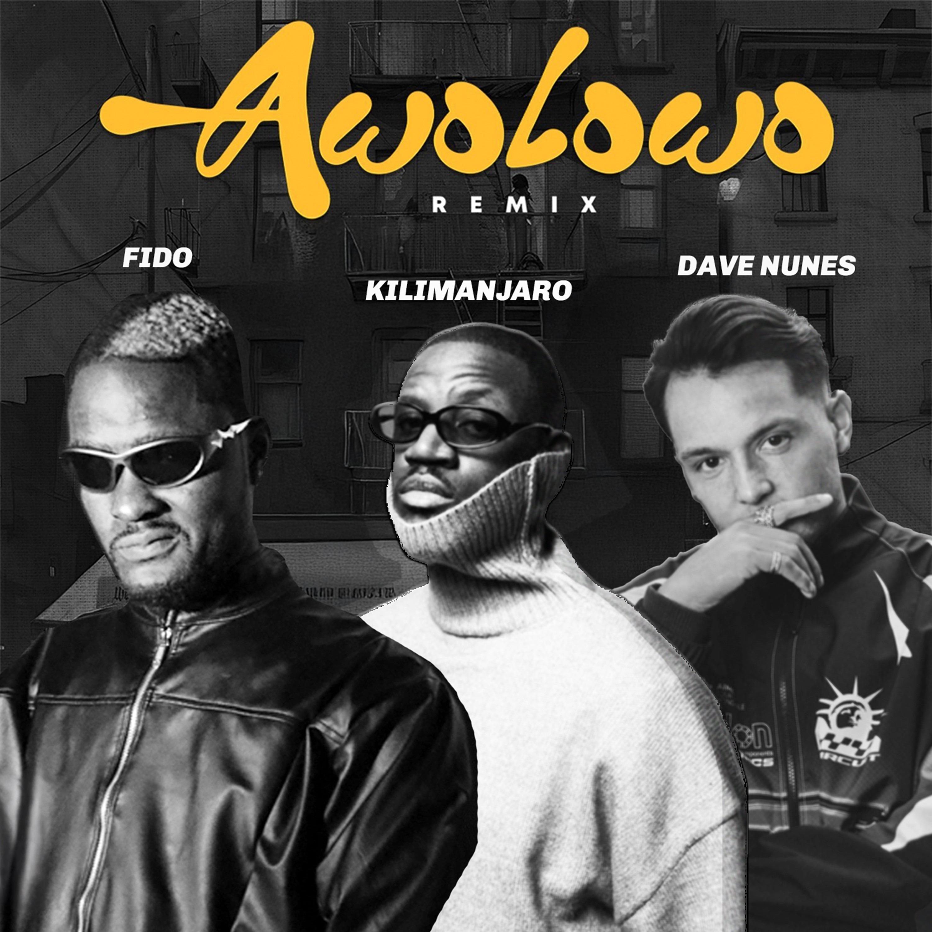 Awolowo (Remix)
