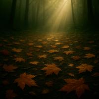 Nature Sound Collection - Jungles Of Saturn (432Hz Version)