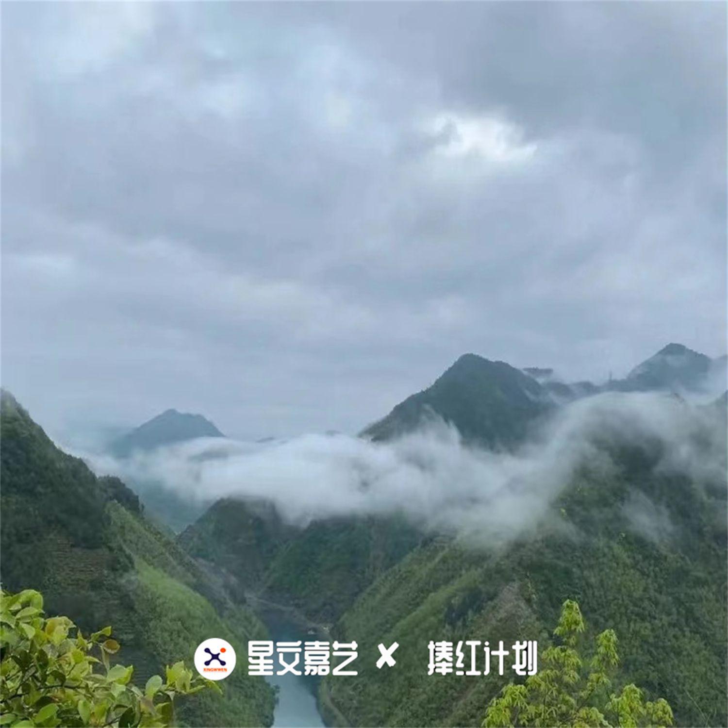 青海花儿歌曲封面