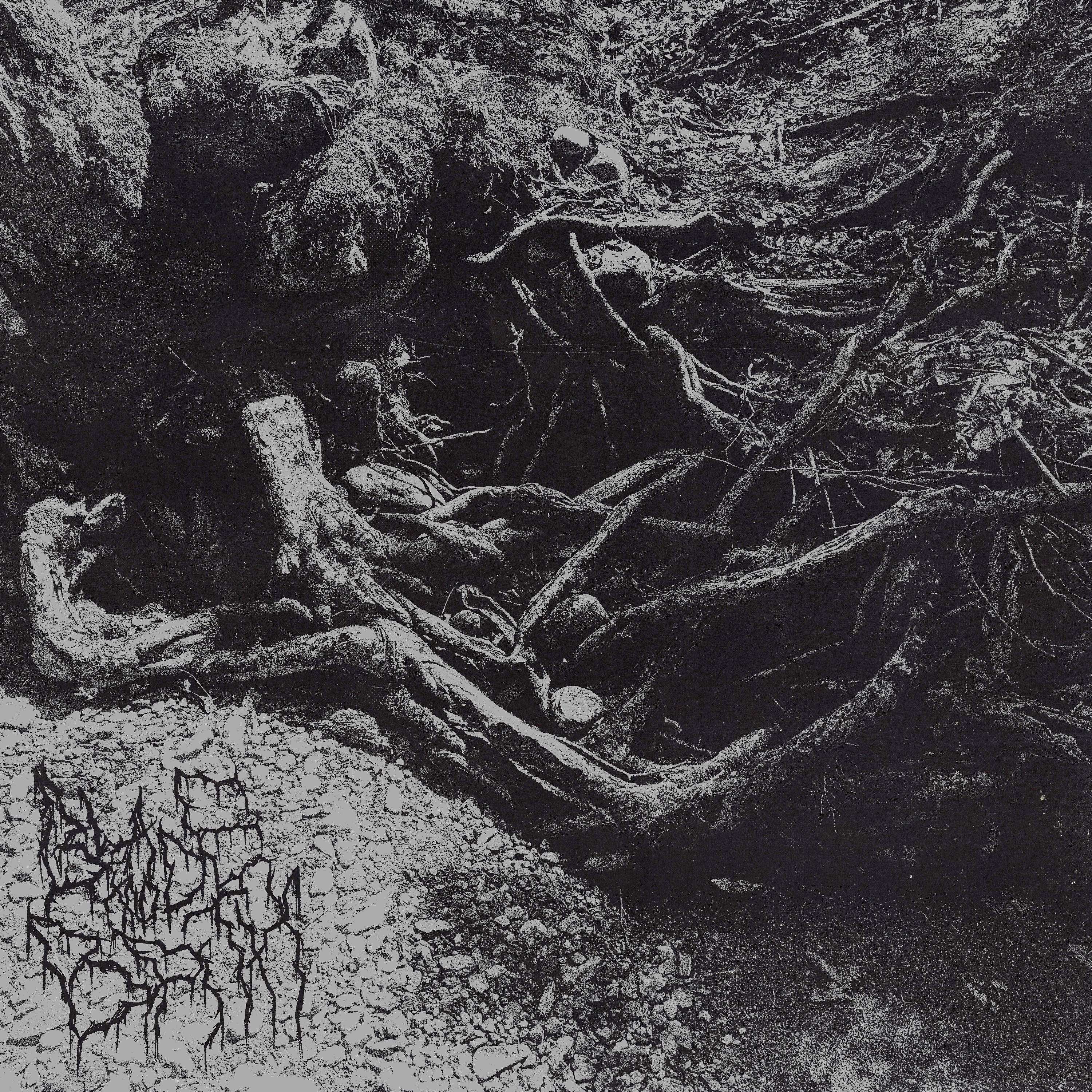 In the Flame of My Memories