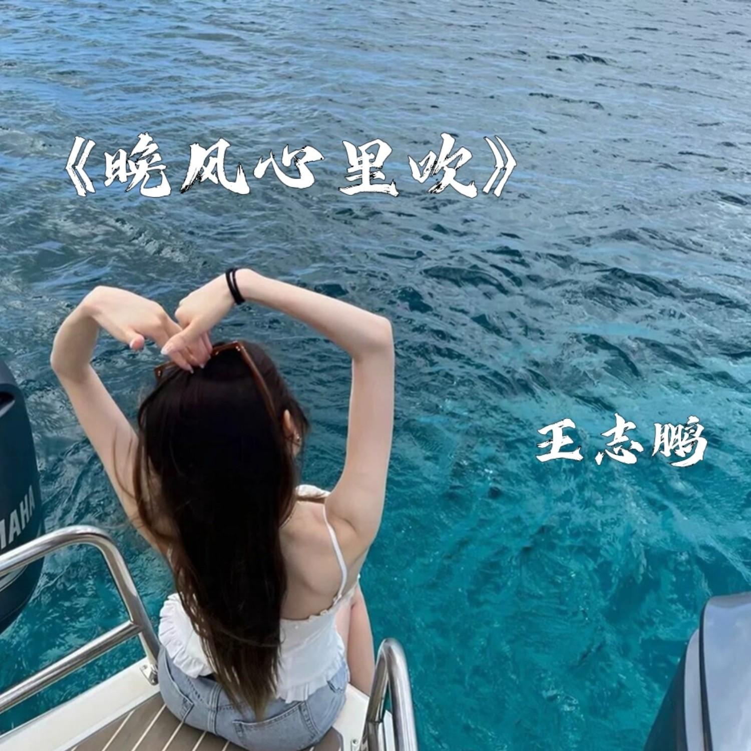 晚风心里吹 (DJ版)