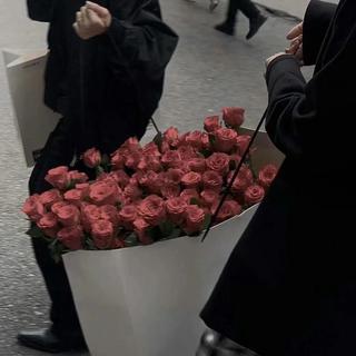 情人节丨野鹤奔向浮云，我步入你