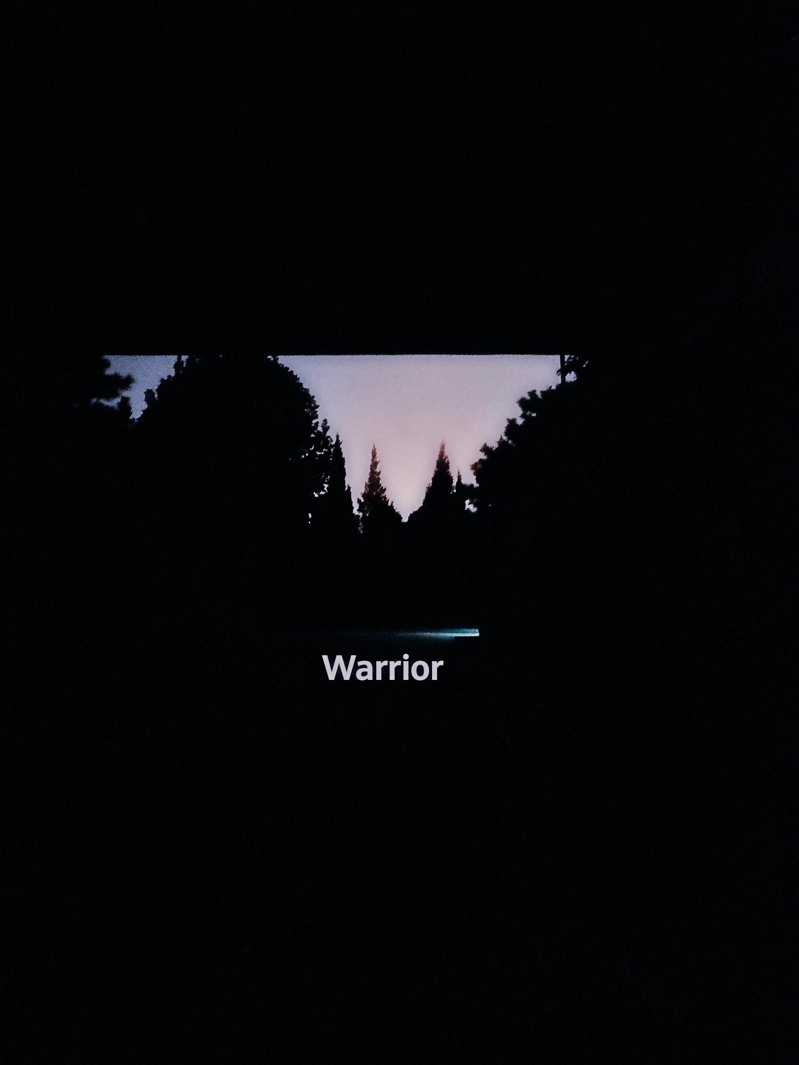 Warrior专辑