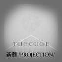 荼蘼 [Projection]