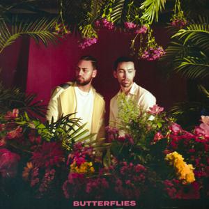 MAX & Ali Gatie - Butterflies (P Instrumental) 无和声伴奏 （降1半音）