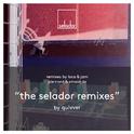 The Selador Remixes专辑