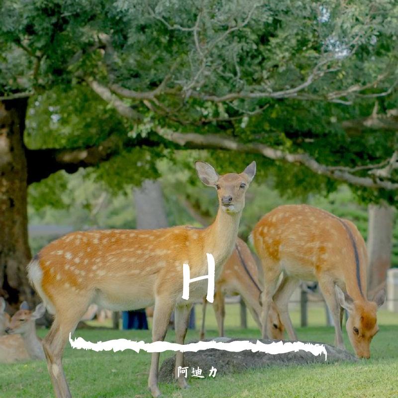 Четверг и пятница（Remix）