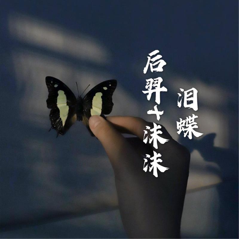泪蝶