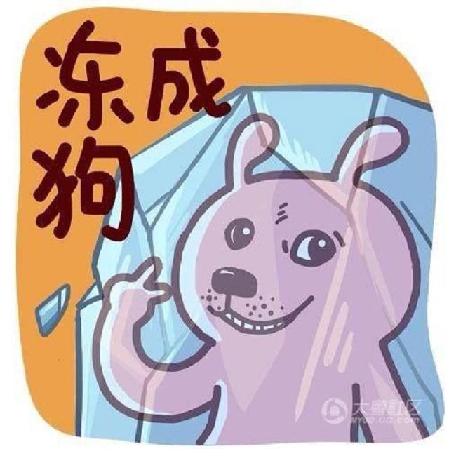 冻成狗了