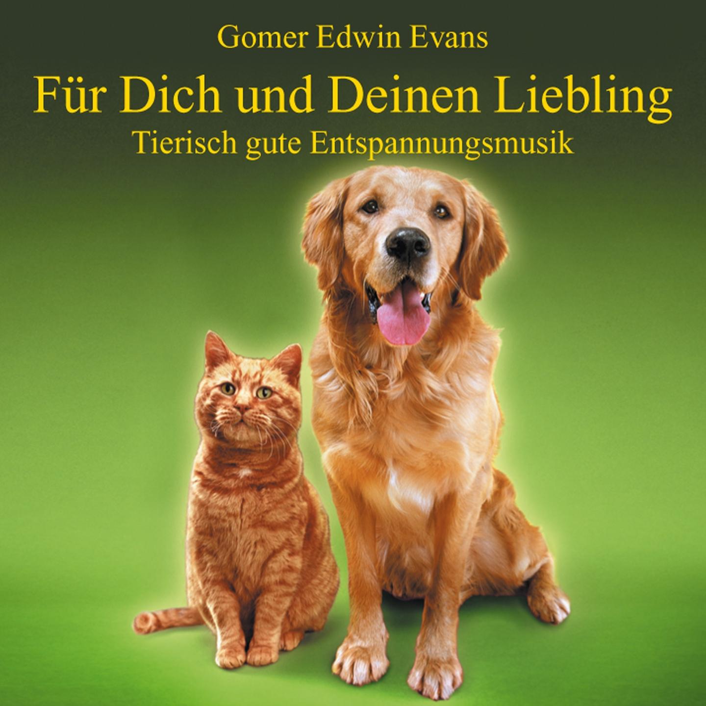 Musik Für Haustiere : Tierisch Gute Entspannung专辑