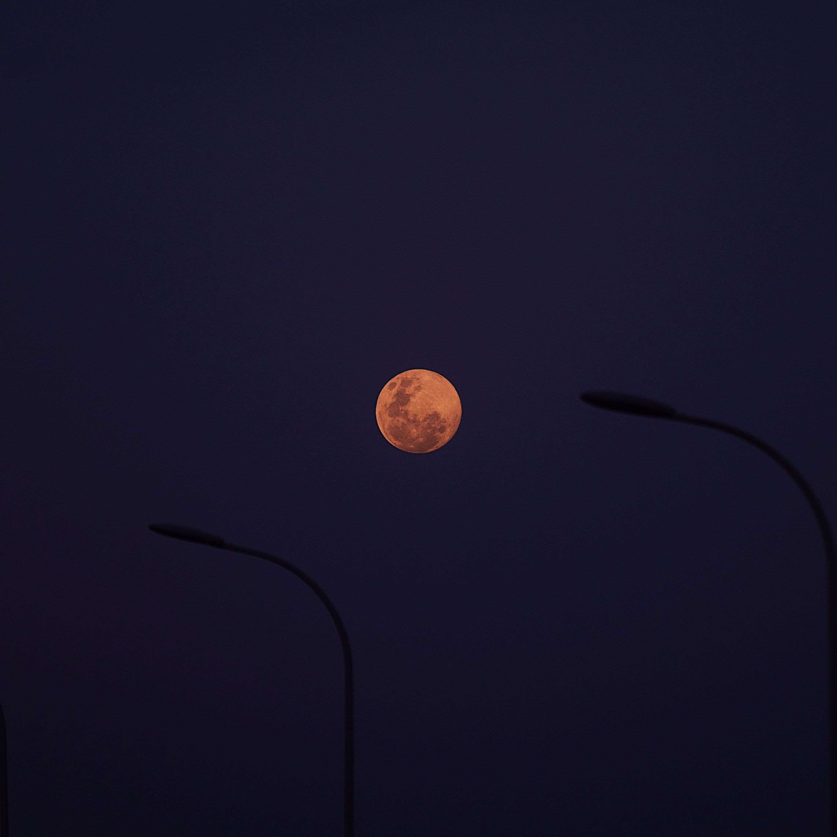 [FREE] ''Moon Light'' Boombap Type Beat