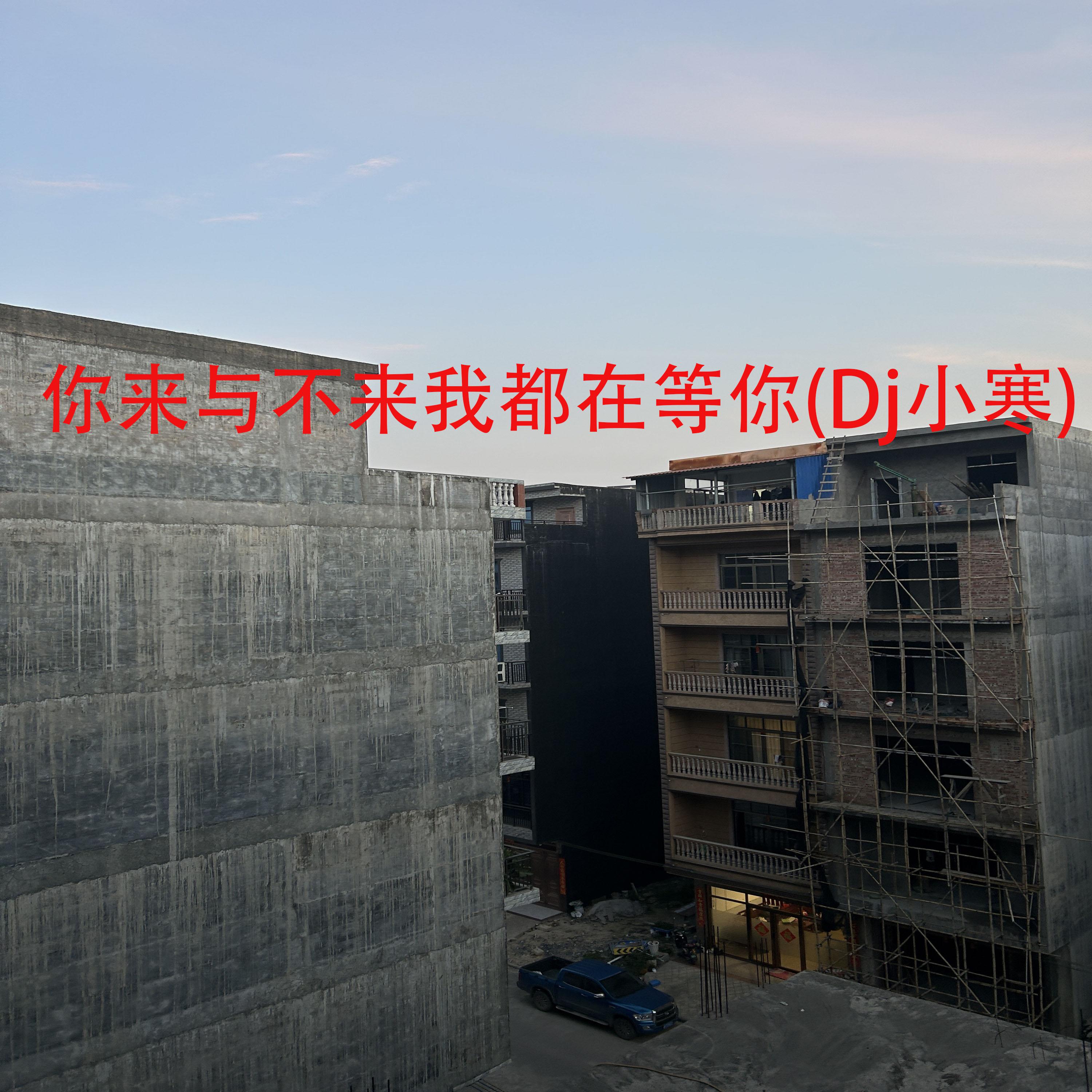 你来与不来我都在等你 (Dj小寒)