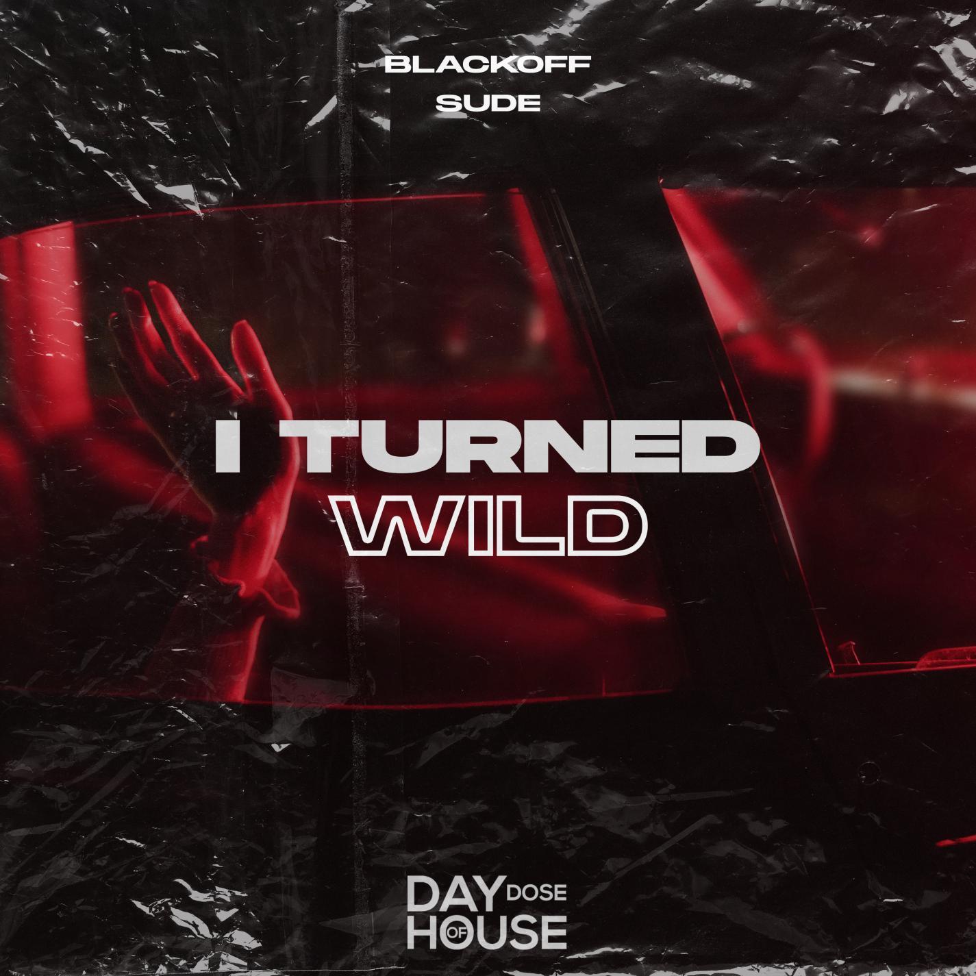 I Turned Wild