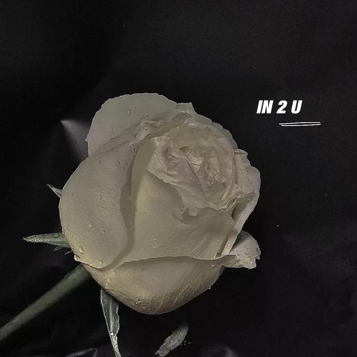 IN 2 U