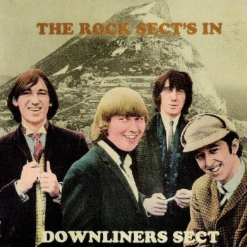 The Rock Sect's In