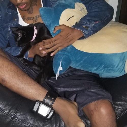 #PROUDCATOWNER #IHATERAPPERS #IEATPSexy