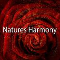 Natures Harmony专辑