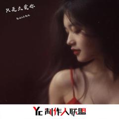 谁明浪子心(DJ版)