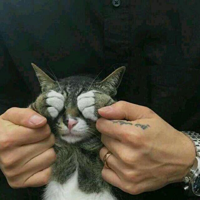 【画面感极强】纯音乐合集
