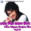 Sonu Nigam Bhajan Hits, Vol. 4专辑