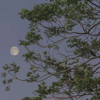 在感情中我只希望被对得起