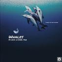 Whales专辑