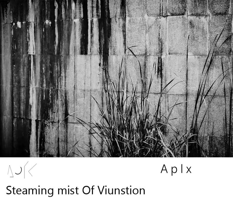 Steaming mist Of Viunstion专辑