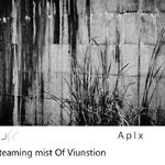 Steaming mist Of Viunstion专辑