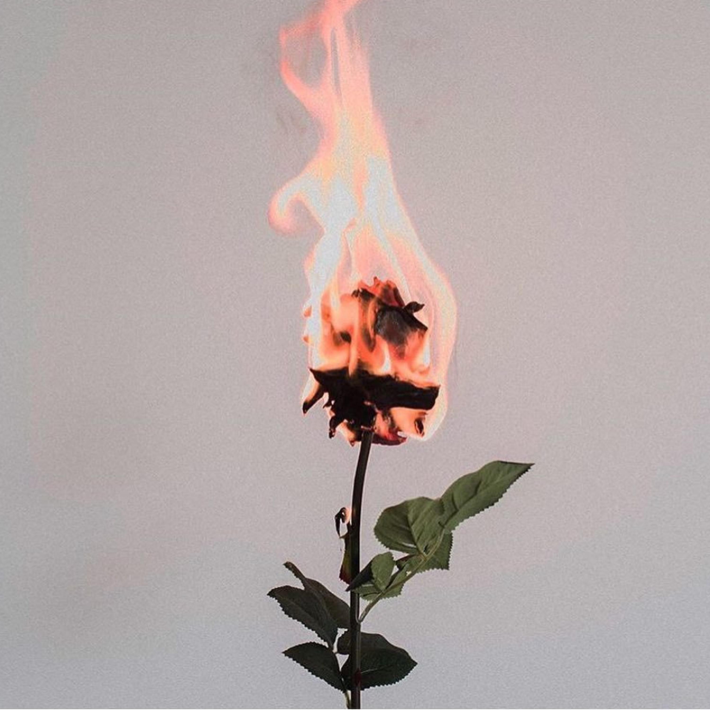 Fuego (feat. TORU$)