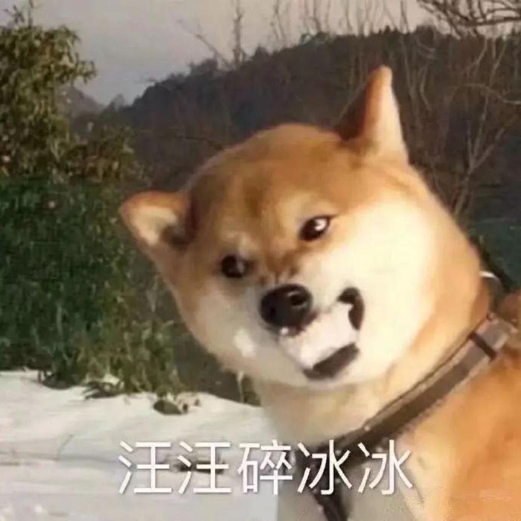 精神小伙必备歌单（极嗨）