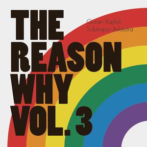 The Reason Why - Vince Gill (SC karaoke) 带和声伴奏