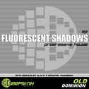 Fluorescent Shadows专辑