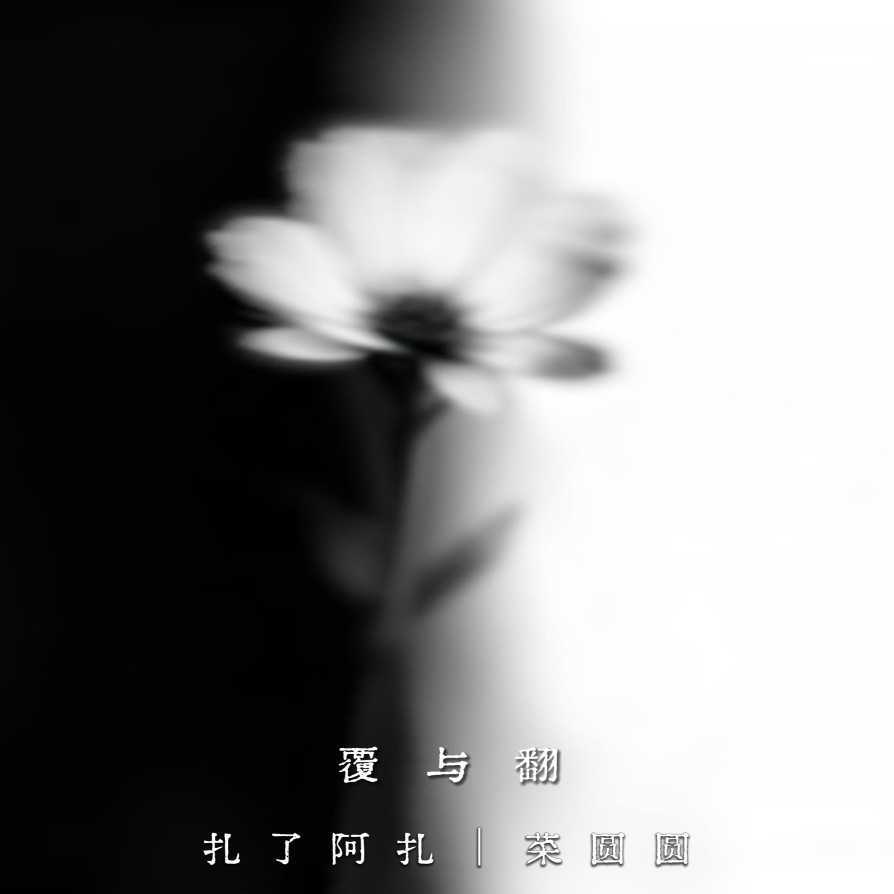 覆与翻