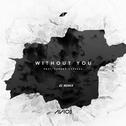 Without You(EC Remix)专辑