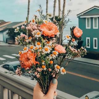 纯音乐（平复情绪专用）