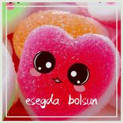 esegda bolsun