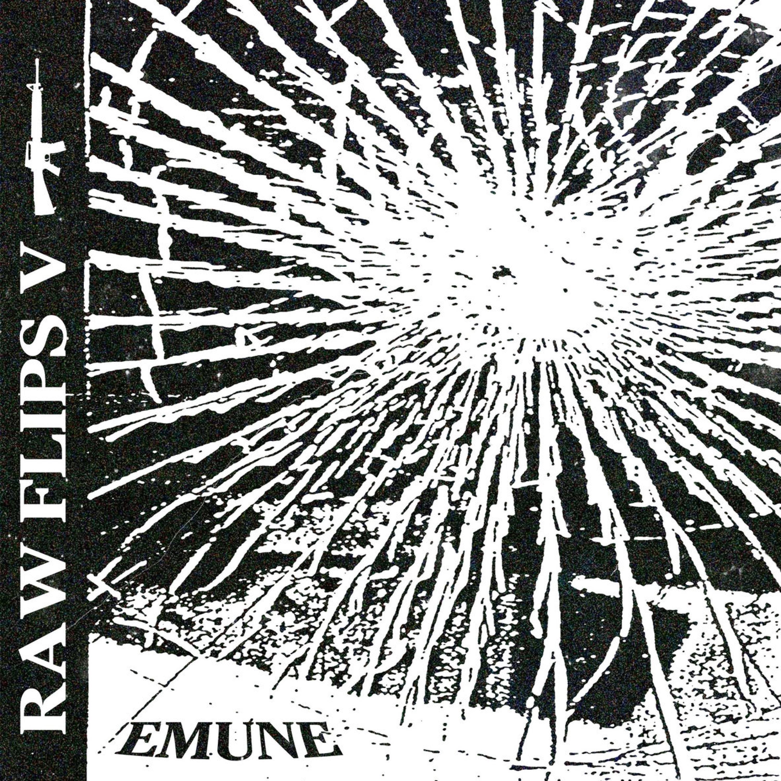 Raw Flips V (Instrumental)
