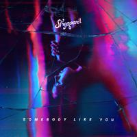 Sheppard - Somebody Like You (消音版) 带和声伴奏