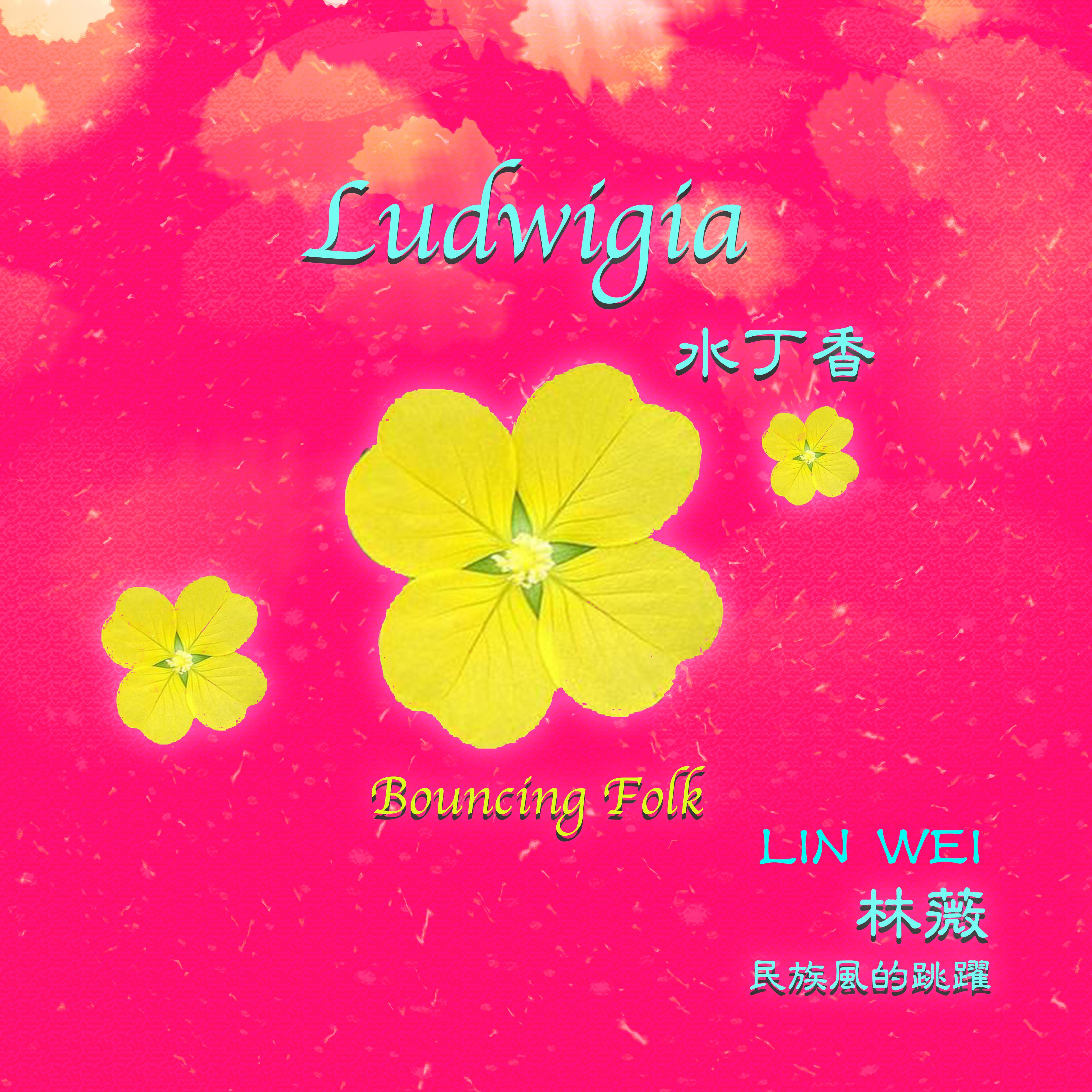 Ludwigia