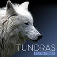 Earth Tones: Tundras