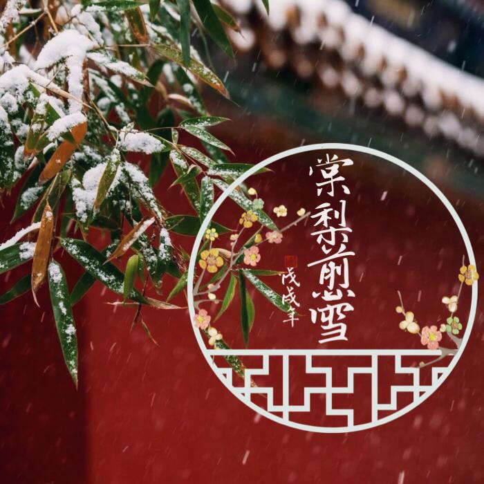 棠梨煎雪