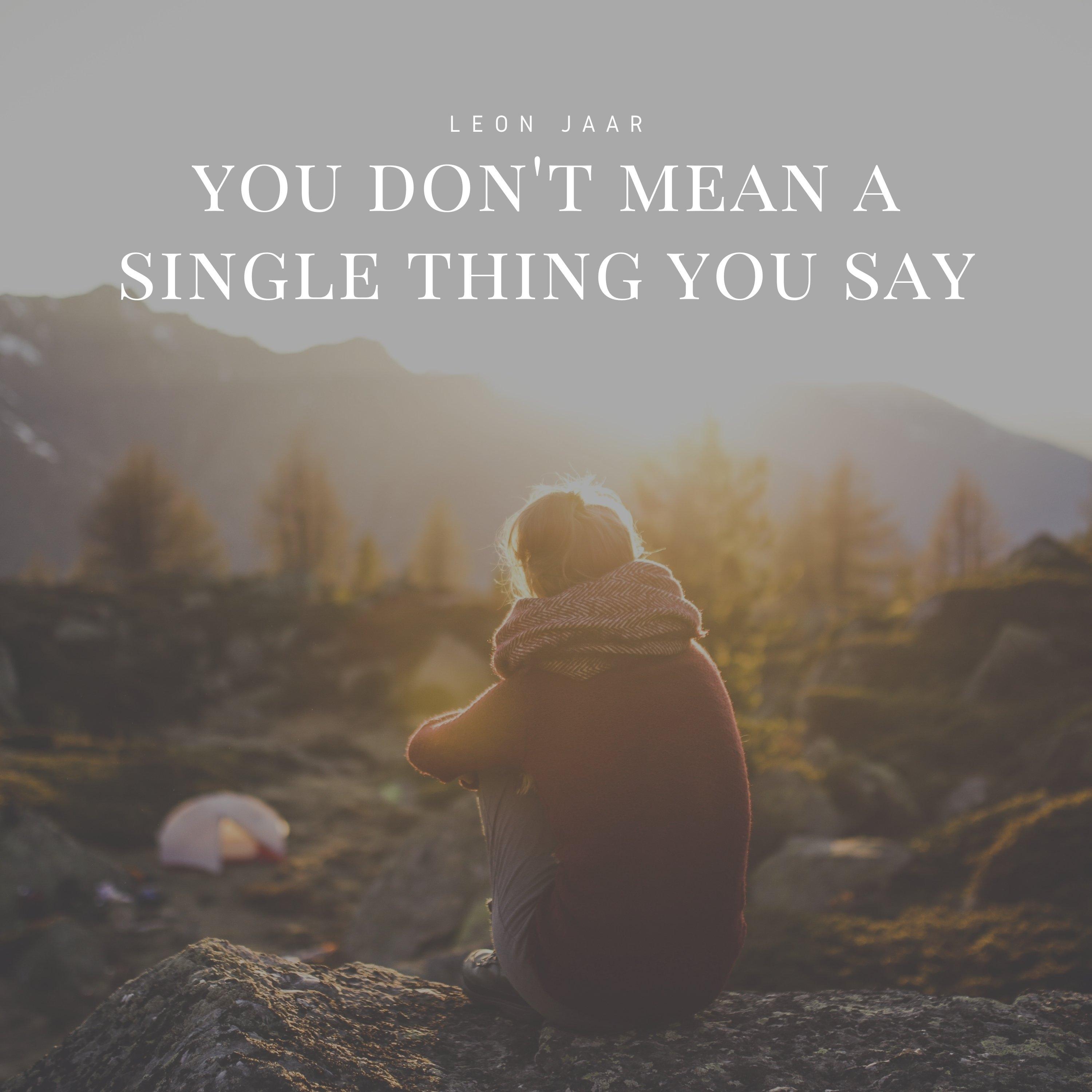 You Don't Mean a Single Thing You Say