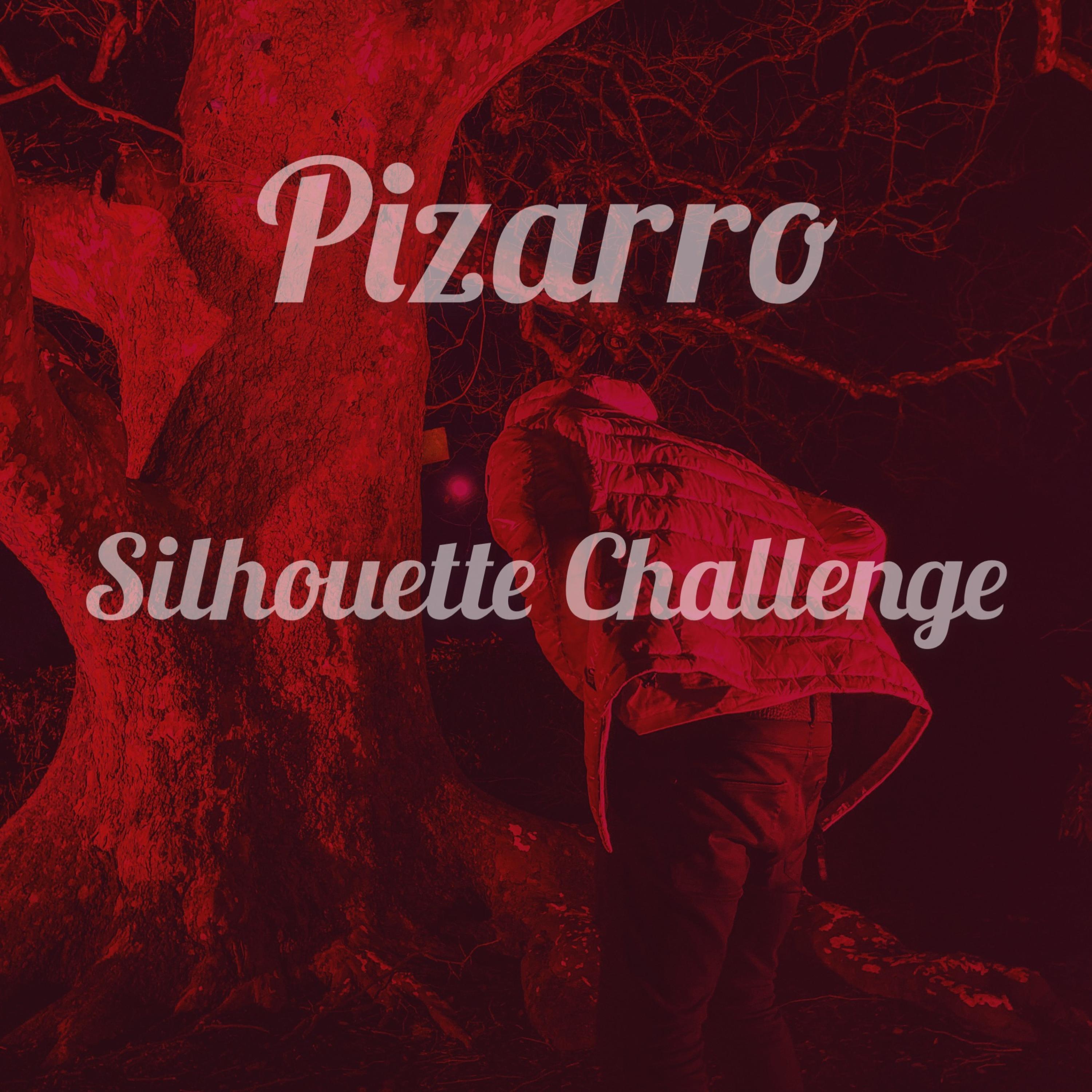 Silhouette Challenge