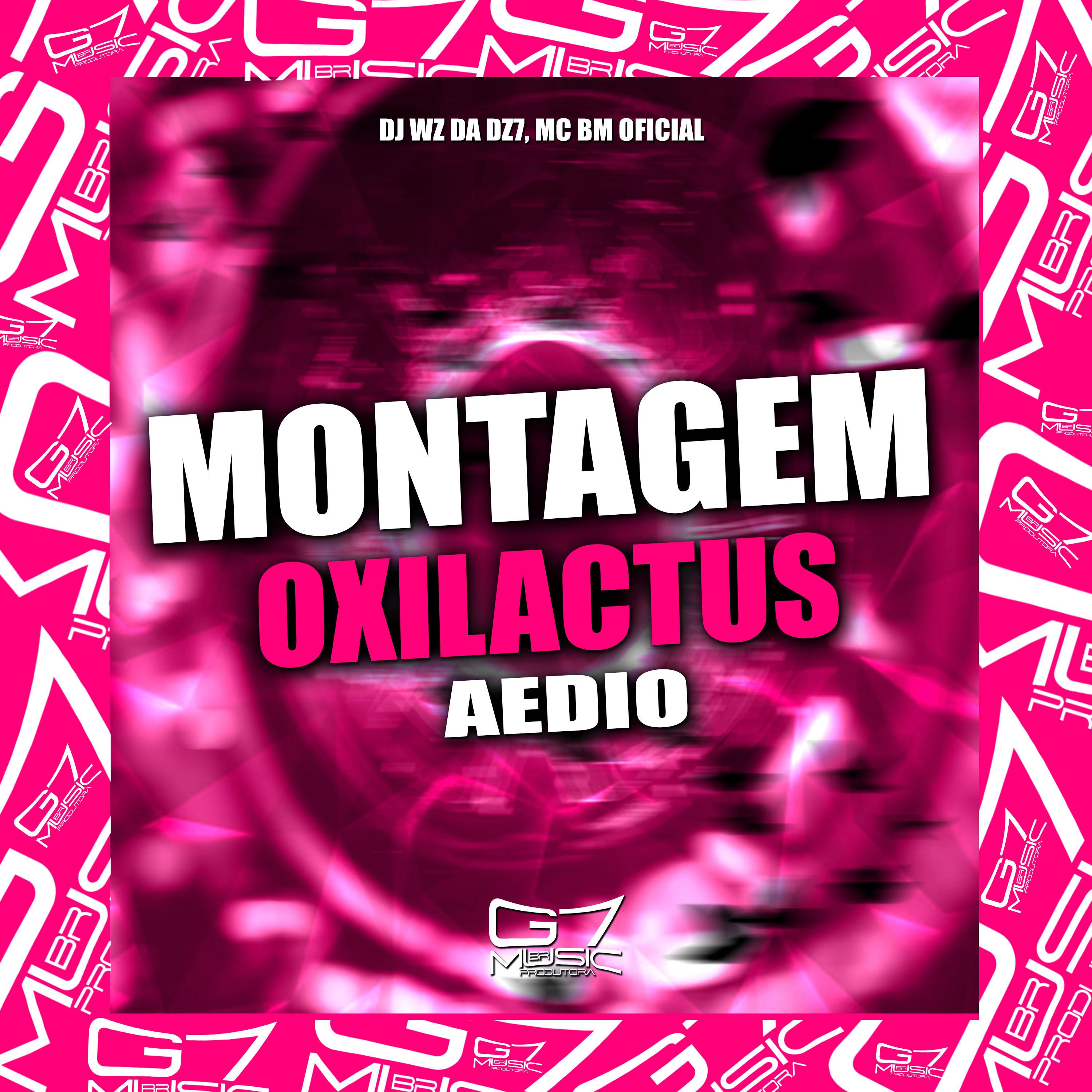 DJ Wz Da Dz7 - Montagem Oxilactus Aedio