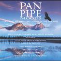Pan Pipe Moods专辑