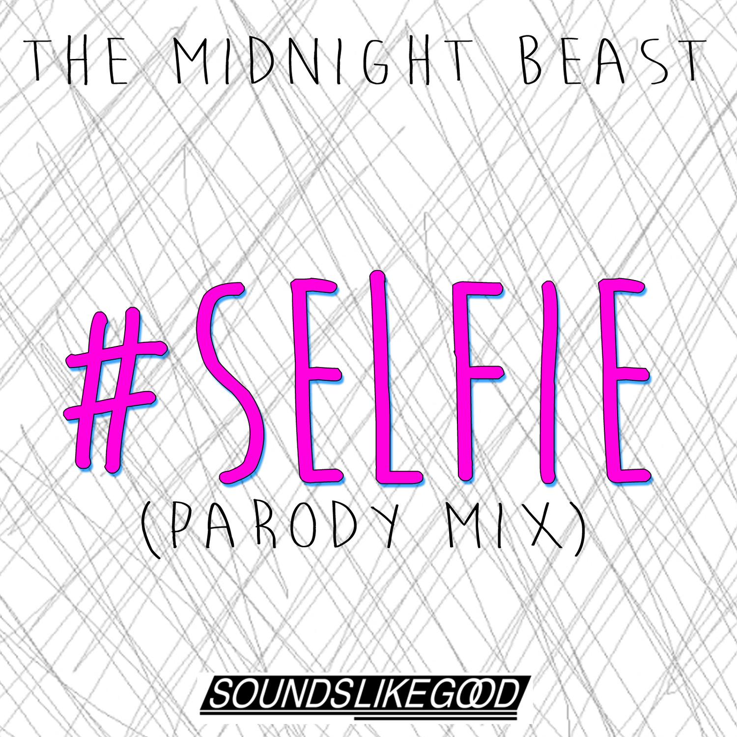 #Selfie (Parody)