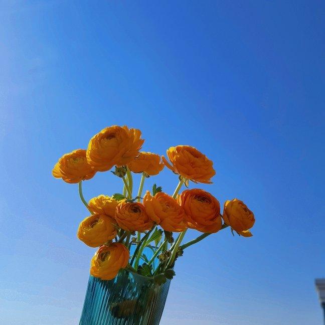 夜之仲夏 | 晚风习习，会有好事“花”生
